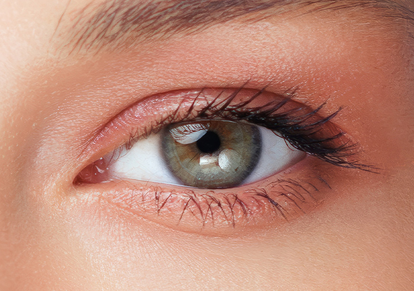 optometrie