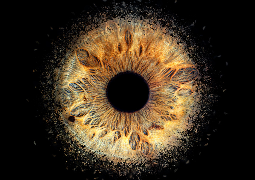 optometrie
